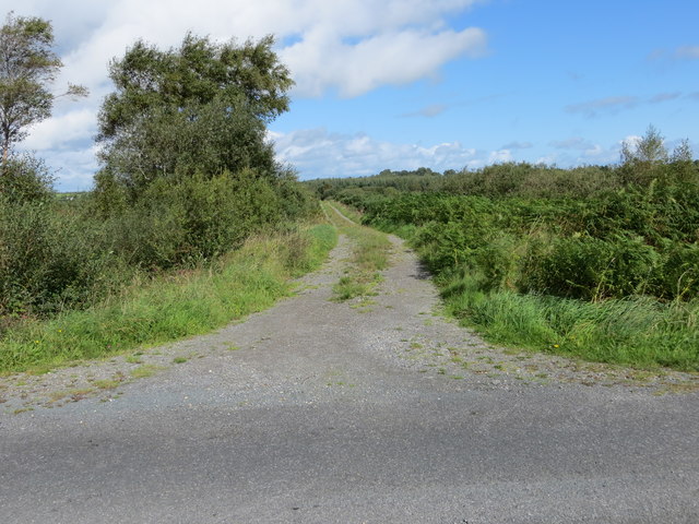 Track, Path and Bridleway leaving a lane between Cloonconra and Mountain Lower