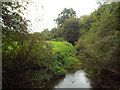 TQ5143 : River Eden near Penshurst by Malc McDonald