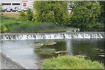 S0524 : Weir, River Suir by N Chadwick