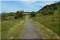 Path in Coves Community Park