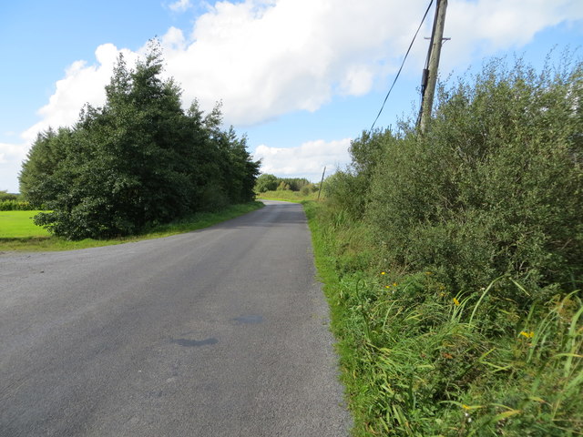 Hedge-lined lane near Creglahan