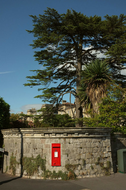 Postbox and cedar, Clifton