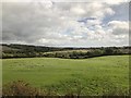 Fields beside the River Leven