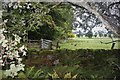 Field gate at Struthill