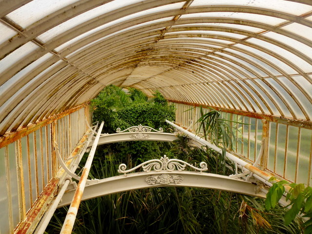 South wing of the Palm House