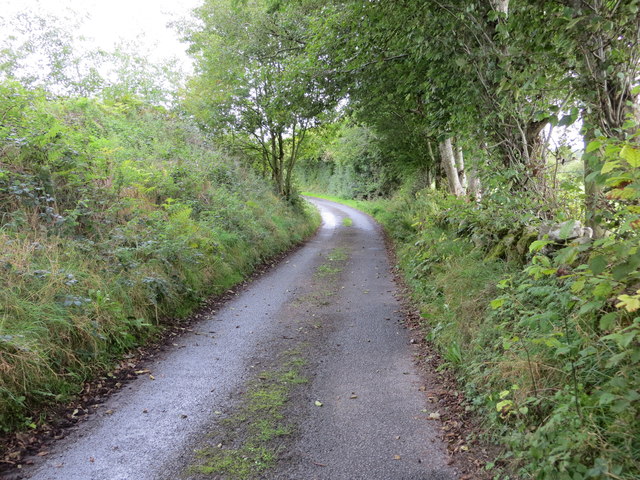 Tree and hedge-lined lane near Glenties