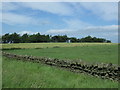 NZ0928 : Fields off Emms Hill Lane by JThomas
