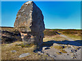 SK2462 : Cork Stone Stanton Moor by Brian Frost