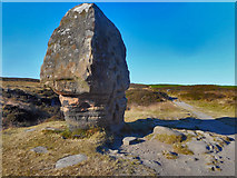 SK2462 : Cork Stone Stanton Moor by Brian Frost