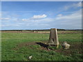 Trig point near High Waupley Farm