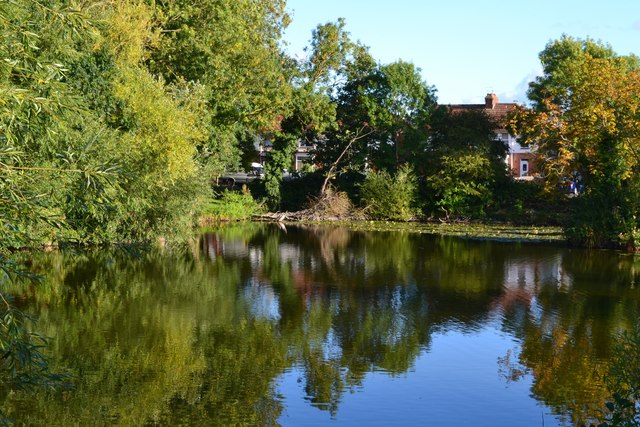 Browne's Pond, Bridgwater © David Martin cc-by-sa/2.0 :: Geograph ...