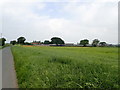 Looking north towards Lodge Farm