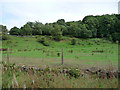 Valley of the River Irwell, Townsend Fold