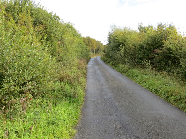 Hedge-lined lane between Clooncah and Cloonmore