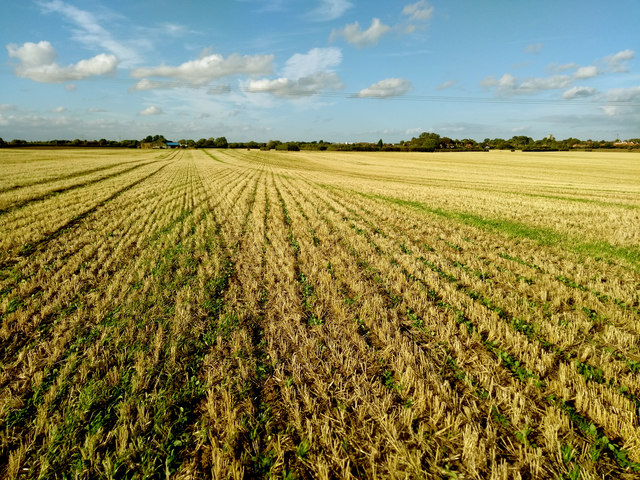 Harvested Field southwest of Preston