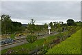 Garden at Lanchester Garden Centre