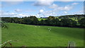 Farmland near Knockvennie