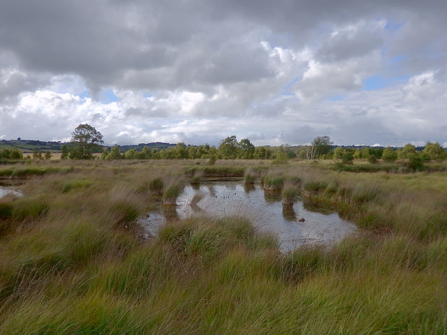 Cors Caron during a prolonged drought
