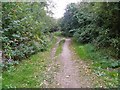 Wildmoorway Lane [5]