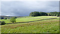 Fields on north side of Horsley Burn