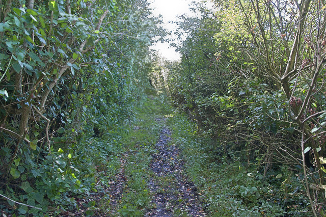 The muddy path down to the riverside