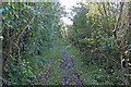 The muddy path down to the riverside