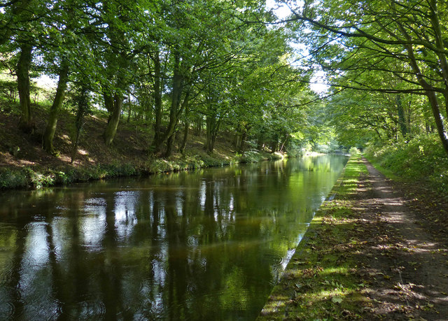 Tree lined cutting along the Lancaster Canal