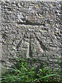 Bench mark on Penrhos Farm gatepost