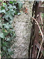 Bench mark near Wern Farm, east of Ruthin