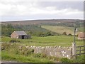 Shed, Pasture House