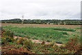 Farmland near Habberley