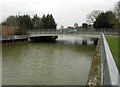 River Mole: A244 Albany Bridge