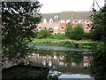 Reflections in the River Wensum