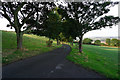 Farm Road towards Denaby Lane