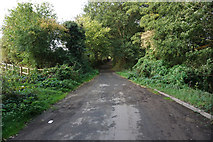 SK4995 : Arbour Lane towards Garden Lane by Ian S
