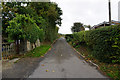 Pingle Lane towards Gulling Wood