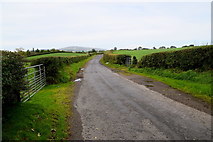 H4478 : Carnony Road, Carnony by Kenneth  Allen