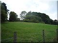 Grazing and woodland off Turton Road, Tottington