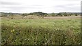 Spoil heap near Longframlington