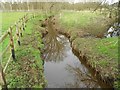 The Bourne: Looking upstream near Willow View in Horsell