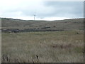 Rough grazing near Pike Low