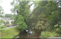 SX5951 : River Yealm by N Chadwick