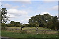 Field beside Pincey Brook