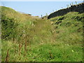 Bents Lane just below Mount Haley