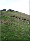 SD7623 : Hillside grazing off Grane Road (B6232) by JThomas