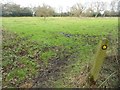 West End: Footpath between Lucas Green and Donkey Town (3)