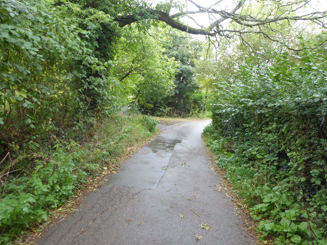 Birchett's Green Lane