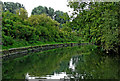 Grand Union Canal/Soar Navigation in Leicester