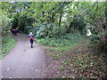 Llwybr yn gadael hewl / Path exiting a road