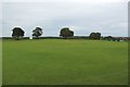 NU2020 : Cricket field, Rock by Graham Robson